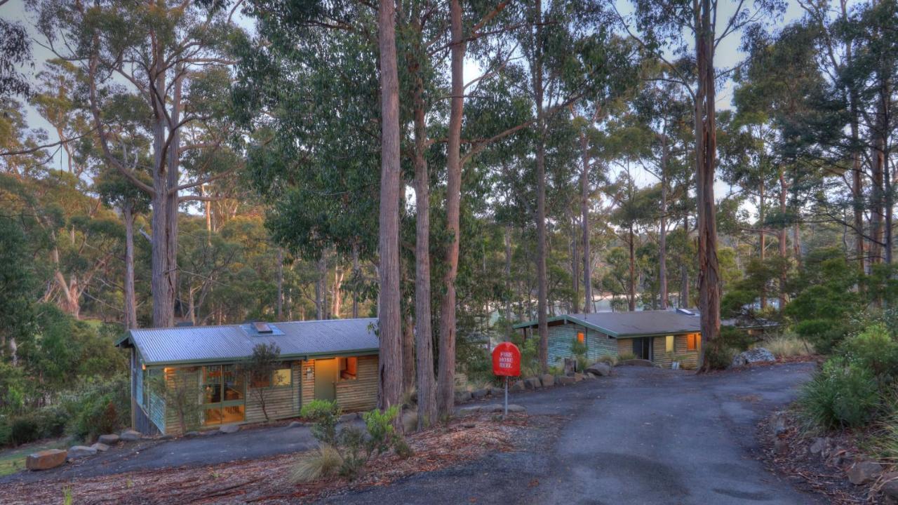 Stewarts Bay Lodge Port Arthur Bagian luar foto